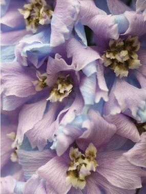 Feel free to make me an offer!